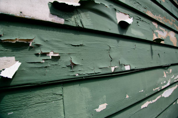 Trusted Shawano, WI Siding Installation & Repair Experts