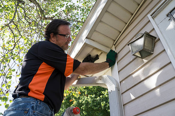 Best Vinyl Siding Installation  in Shawano, WI